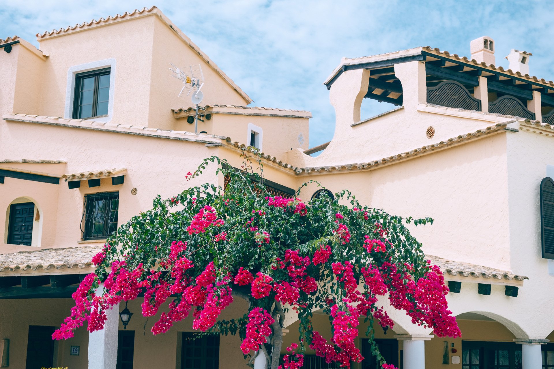 Edificio de fachadas claras con tejados de tejas, terraza cubierta, ventanas y arcos, con una planta de flores fucsias en primer plano.